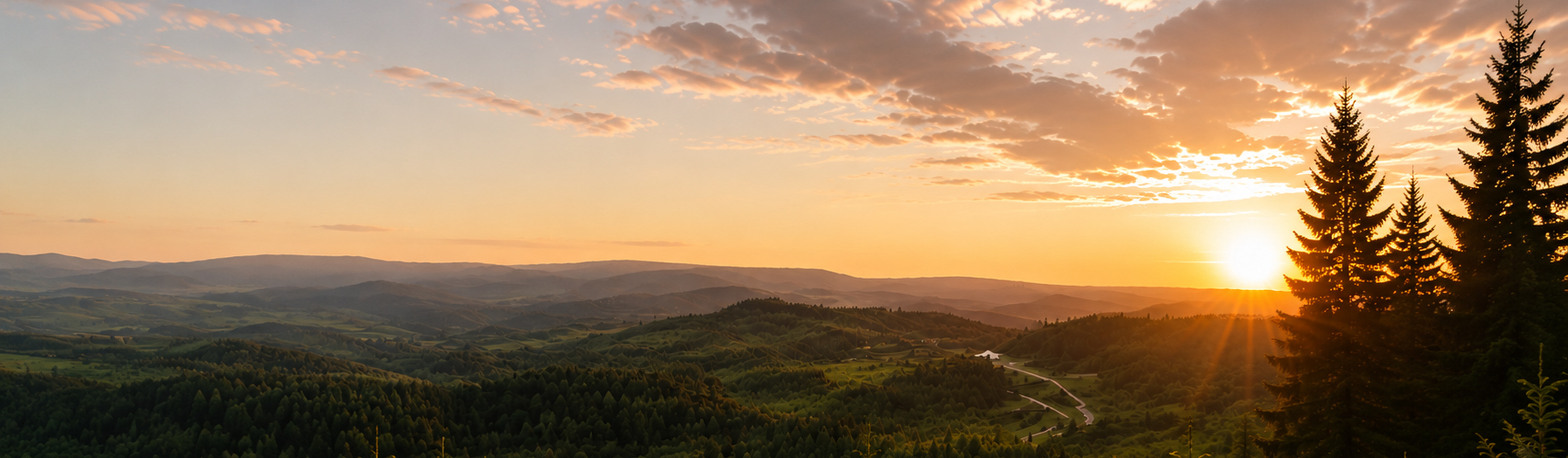 Sunset over a forested Pacific Northwest valley